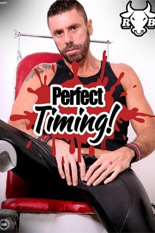 Perfect Timing poster