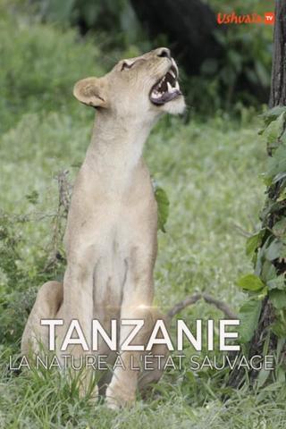Tanzanie, la nature à l'état sauvage poster
