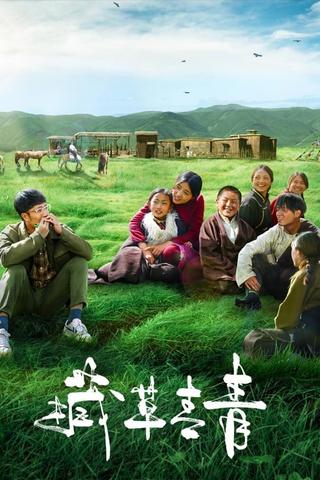 Tibetan Grass poster