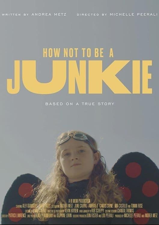 How Not to Be a Junkie poster