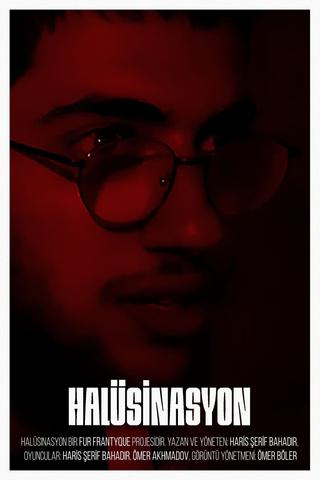 The Hallucination poster