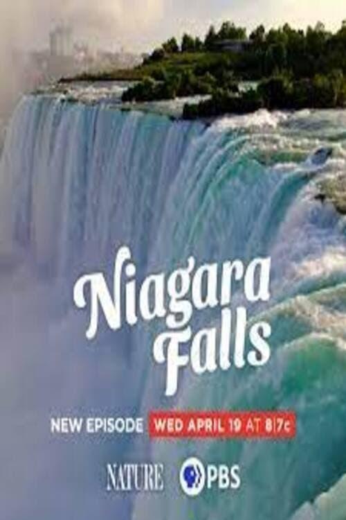 Niagara Falls poster