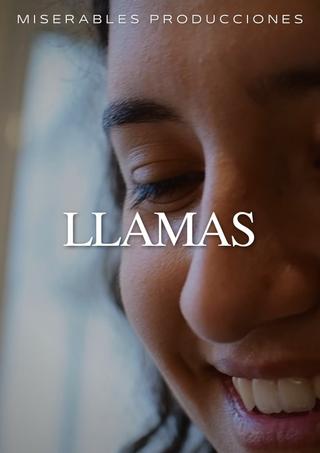 Llamas poster