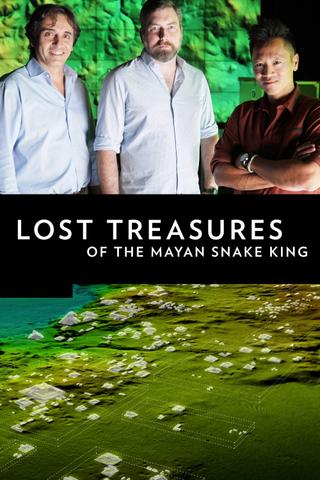 Lost Treasures of the Maya Snake Kings poster