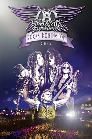 Aerosmith - Rocks Donington 2014 poster