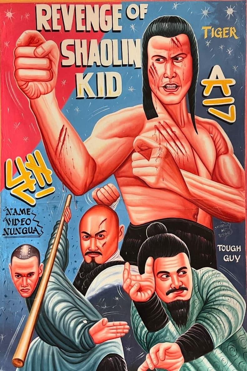 Revenge Of The Shaolin Kid poster