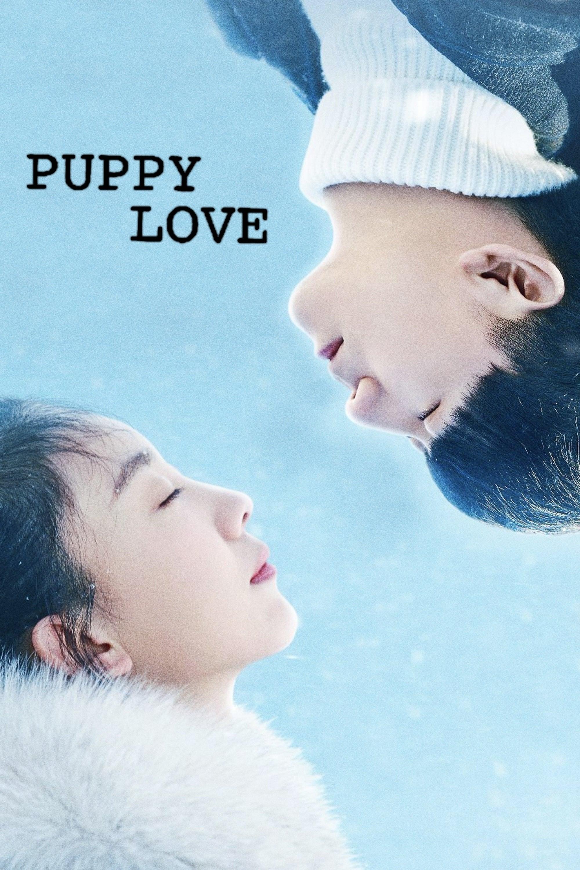 Puppy Love poster