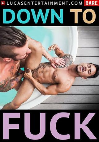 Down to Fuck poster