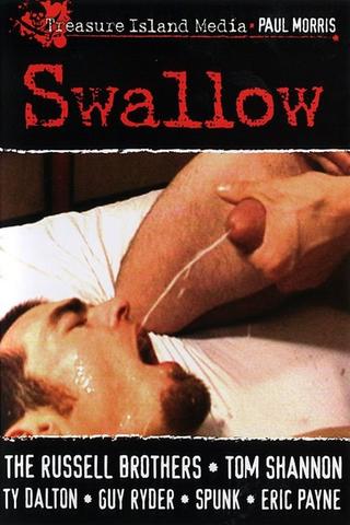 Swallow poster
