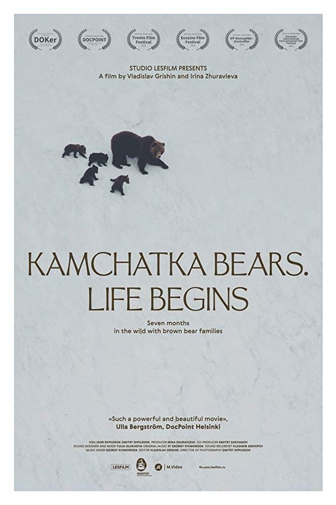 Kamchatka Bears. Life Begins poster