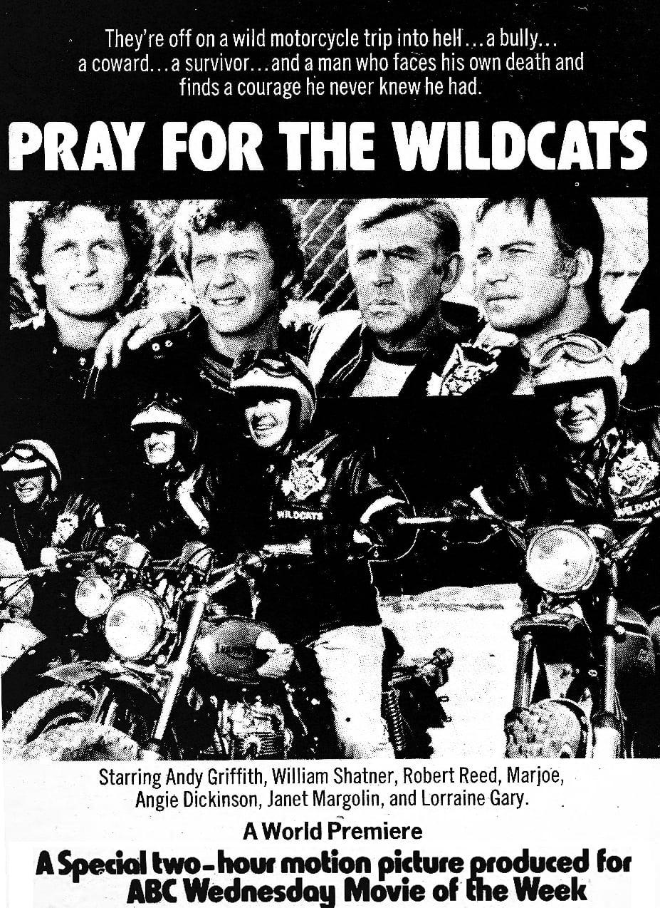 Pray for the Wildcats poster