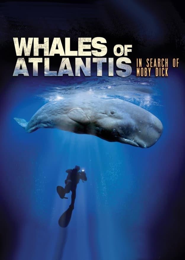 Whales of Atlantis: In Search of Moby Dick poster