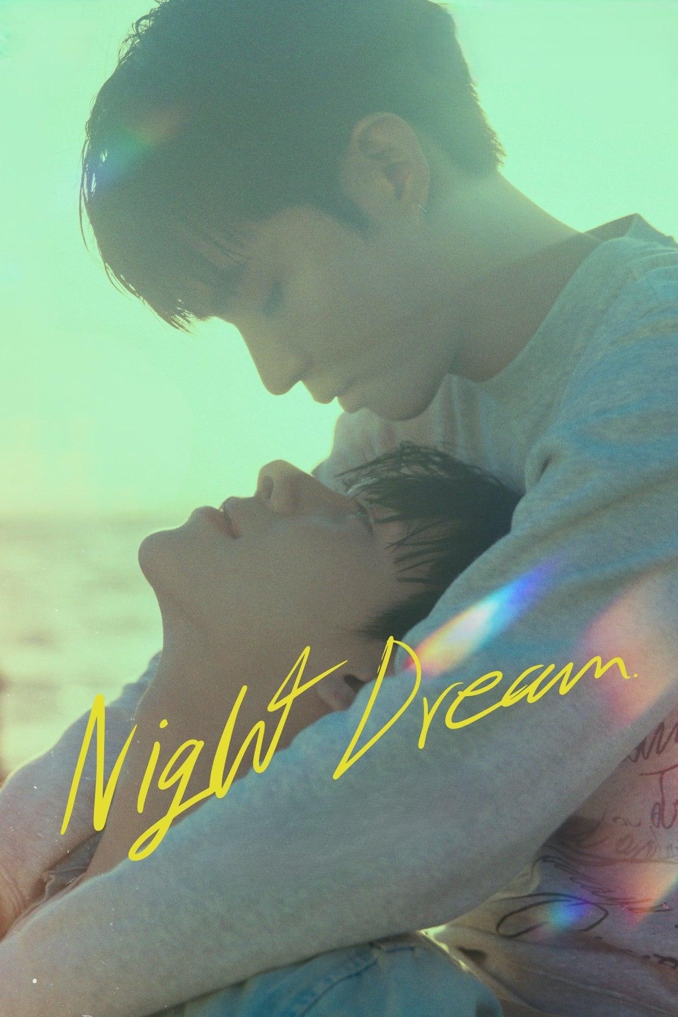 Night Dream poster