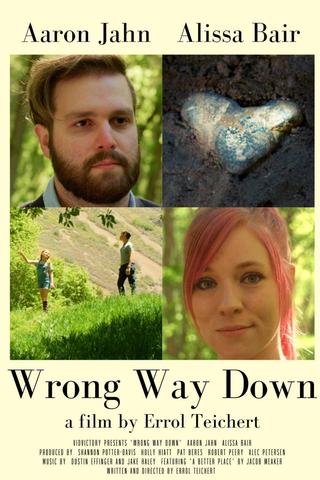 Wrong Way Down poster