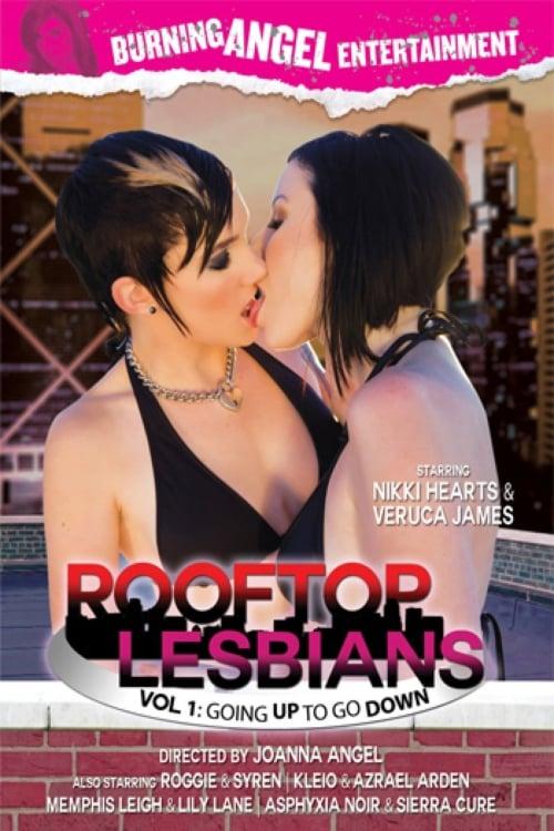 Rooftop Lesbians: Going Up to Go Down poster