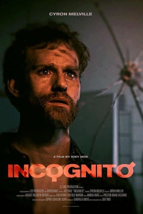 Incognito poster