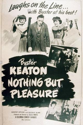 Nothing But Pleasure poster