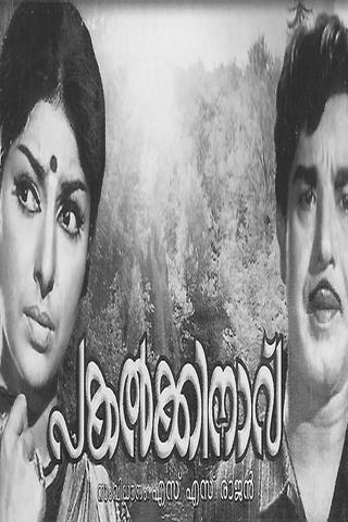 Pakalkkinavu poster