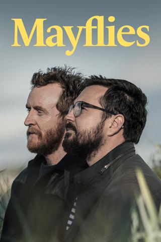 Mayflies poster