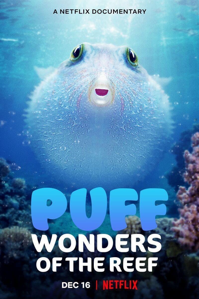 Puff: Wonders of the Reef poster