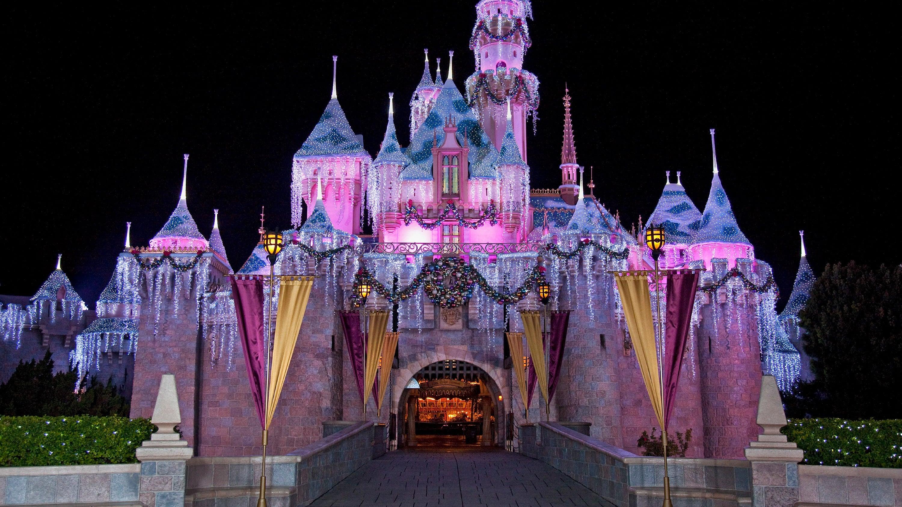 The Wonderful World of Disney: Magical Holiday Celebration backdrop