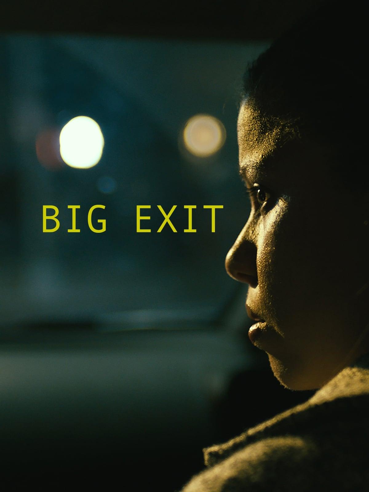 Big Exit poster