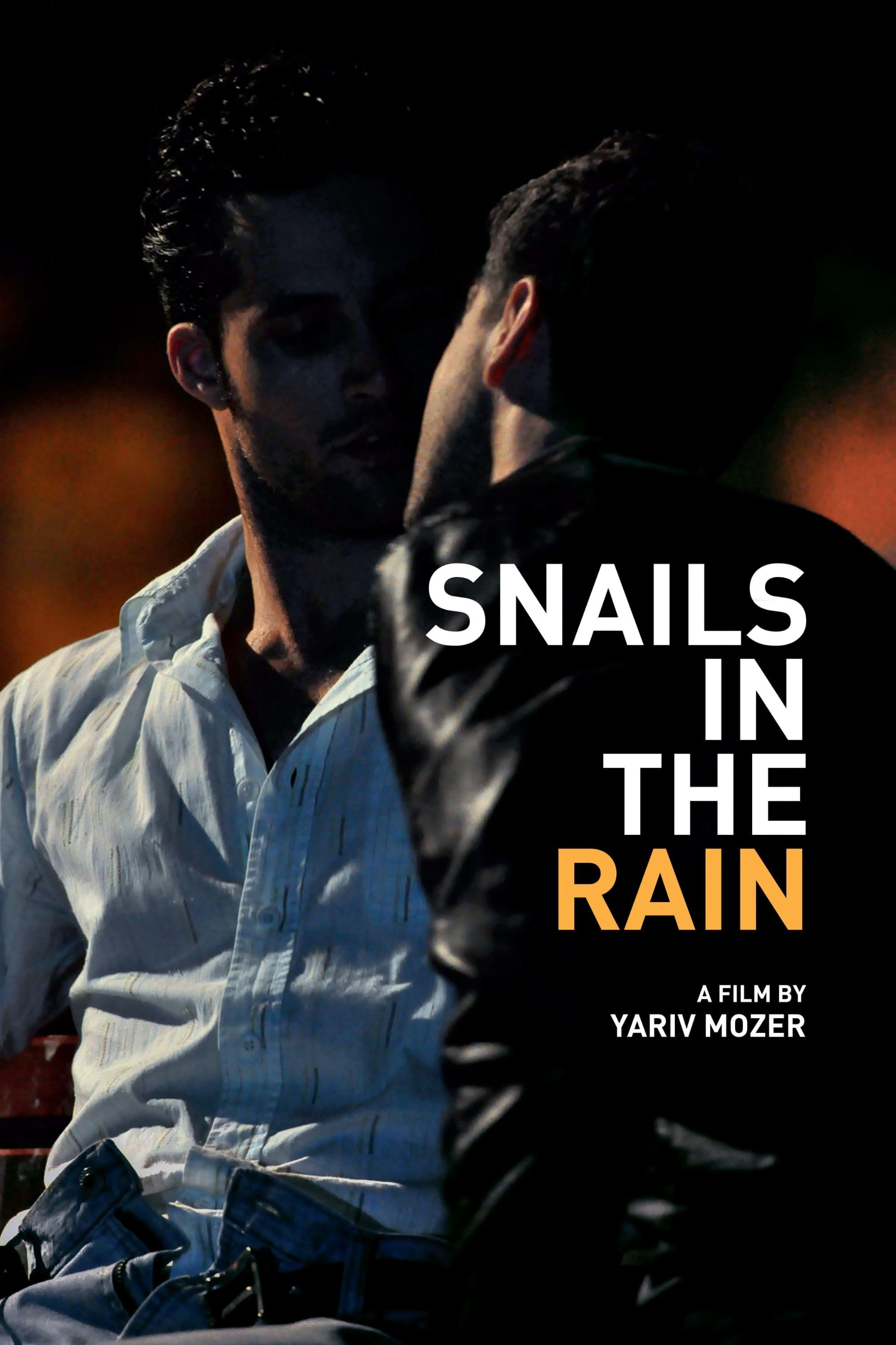 Snails in the Rain poster