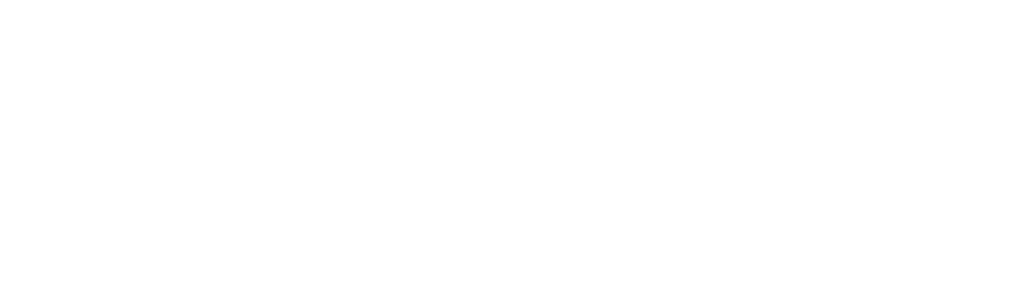Kiwi Christmas logo