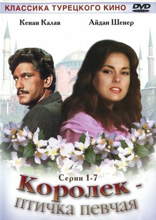 Королек - птичка певчая poster