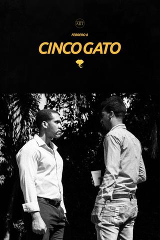 Cinco Gato poster