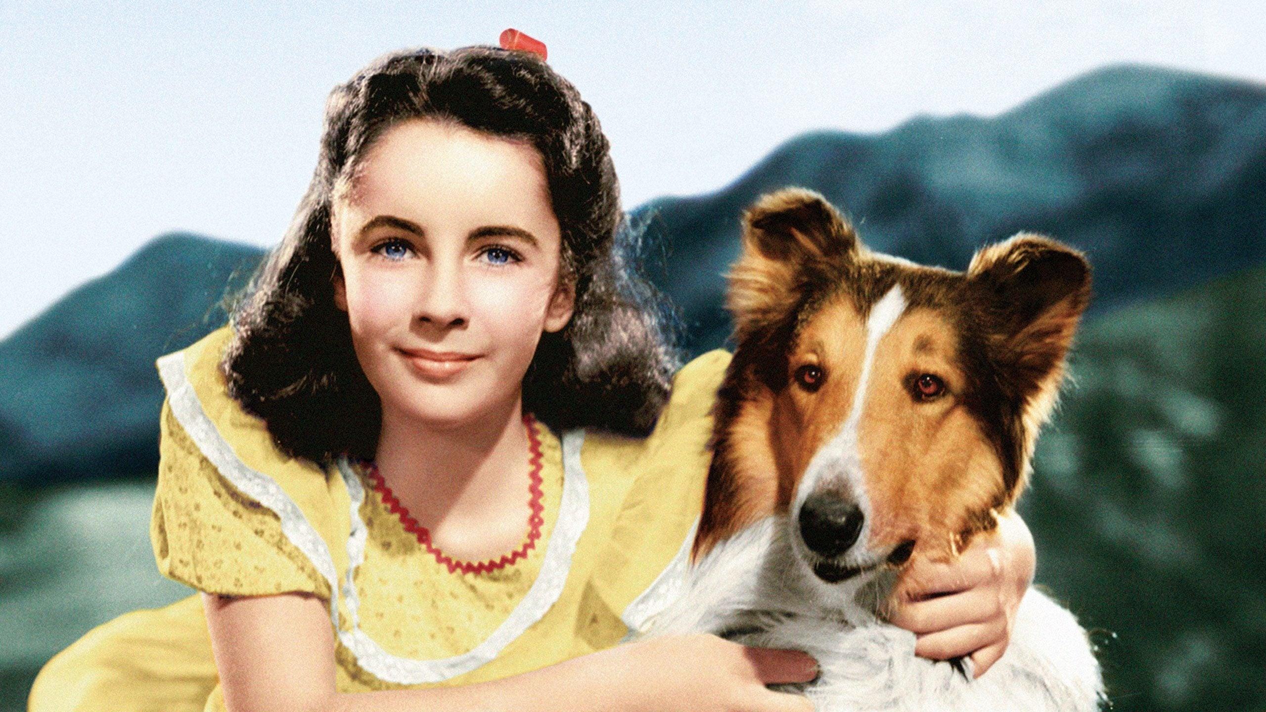 Courage of Lassie backdrop