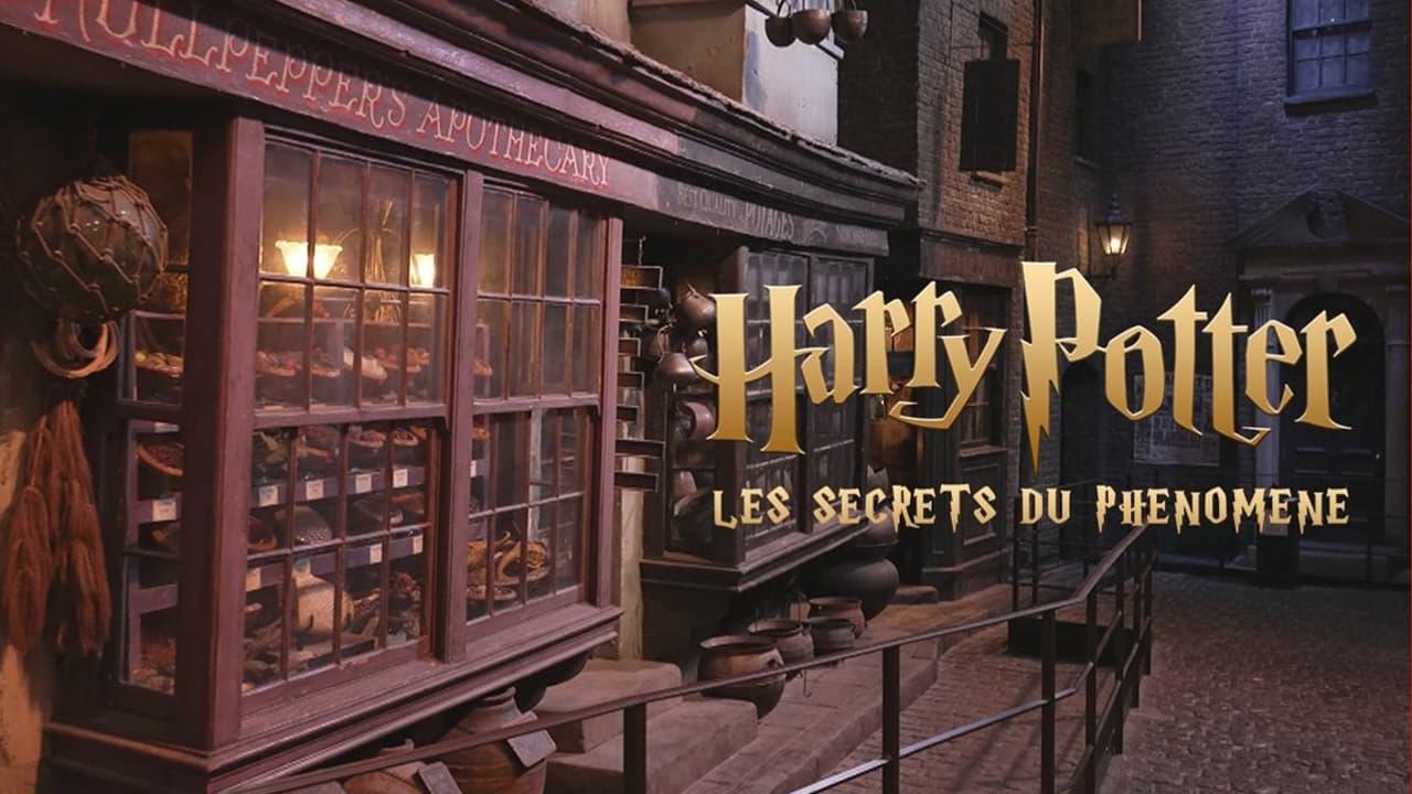 Harry Potter : les secrets du phénomène backdrop