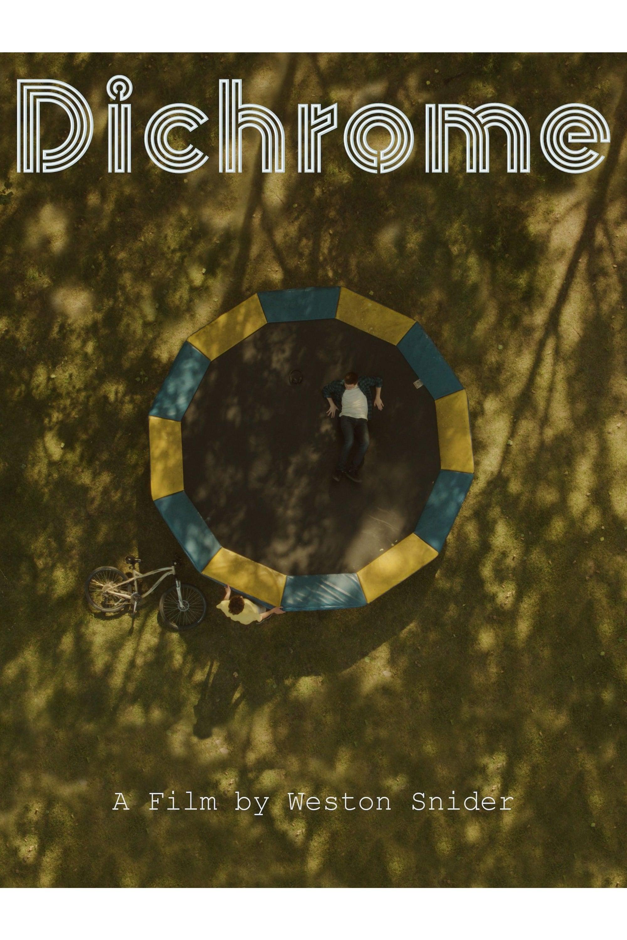 Dichrome poster