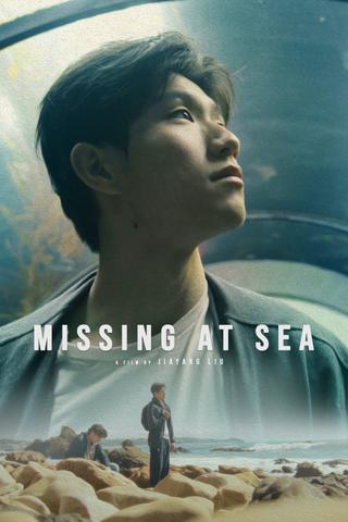 Missing at Sea poster