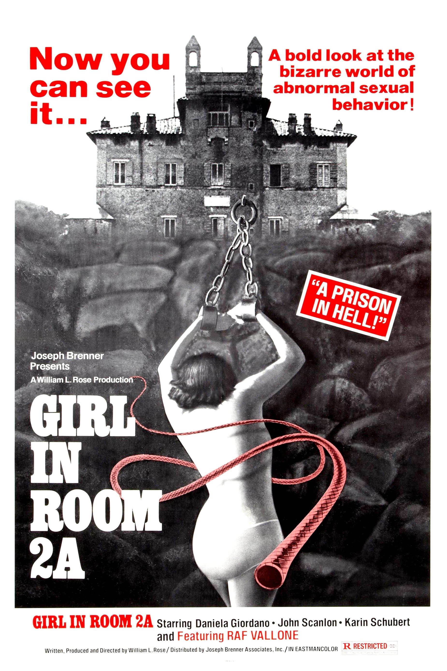 The Girl in Room 2A poster