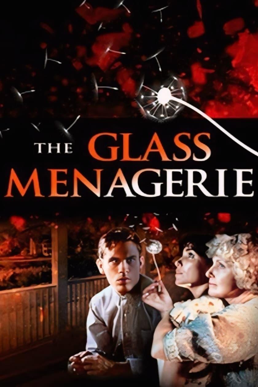 The Glass Menagerie poster