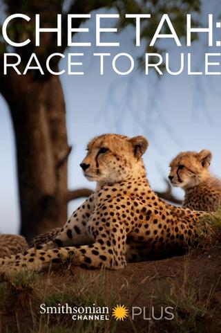 Cheetah: Race to Rule poster
