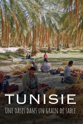 Tunisie : Une oasis dans un grain de sable poster