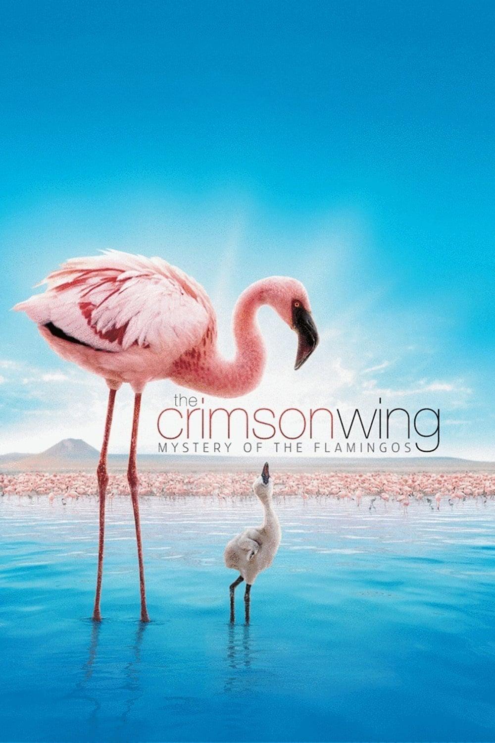 The Crimson Wing: Mystery of the Flamingos poster