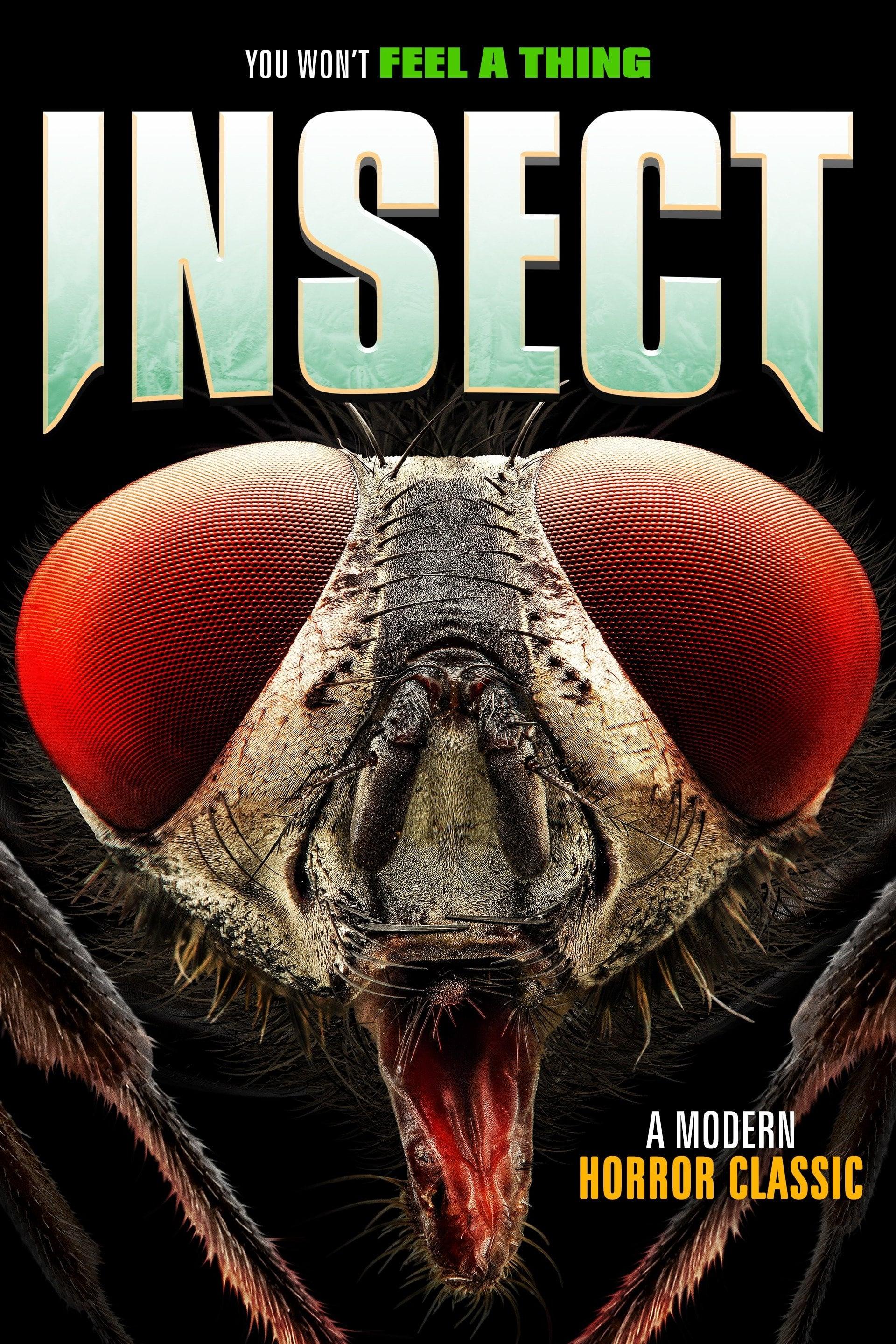 Insect poster