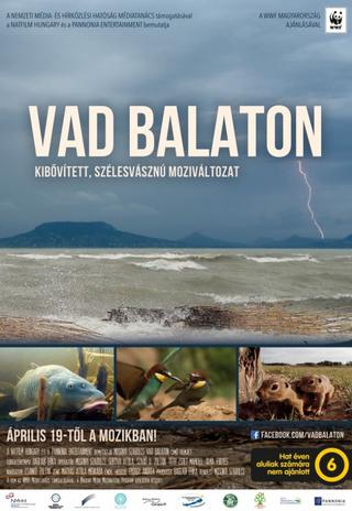 Vad Balaton poster