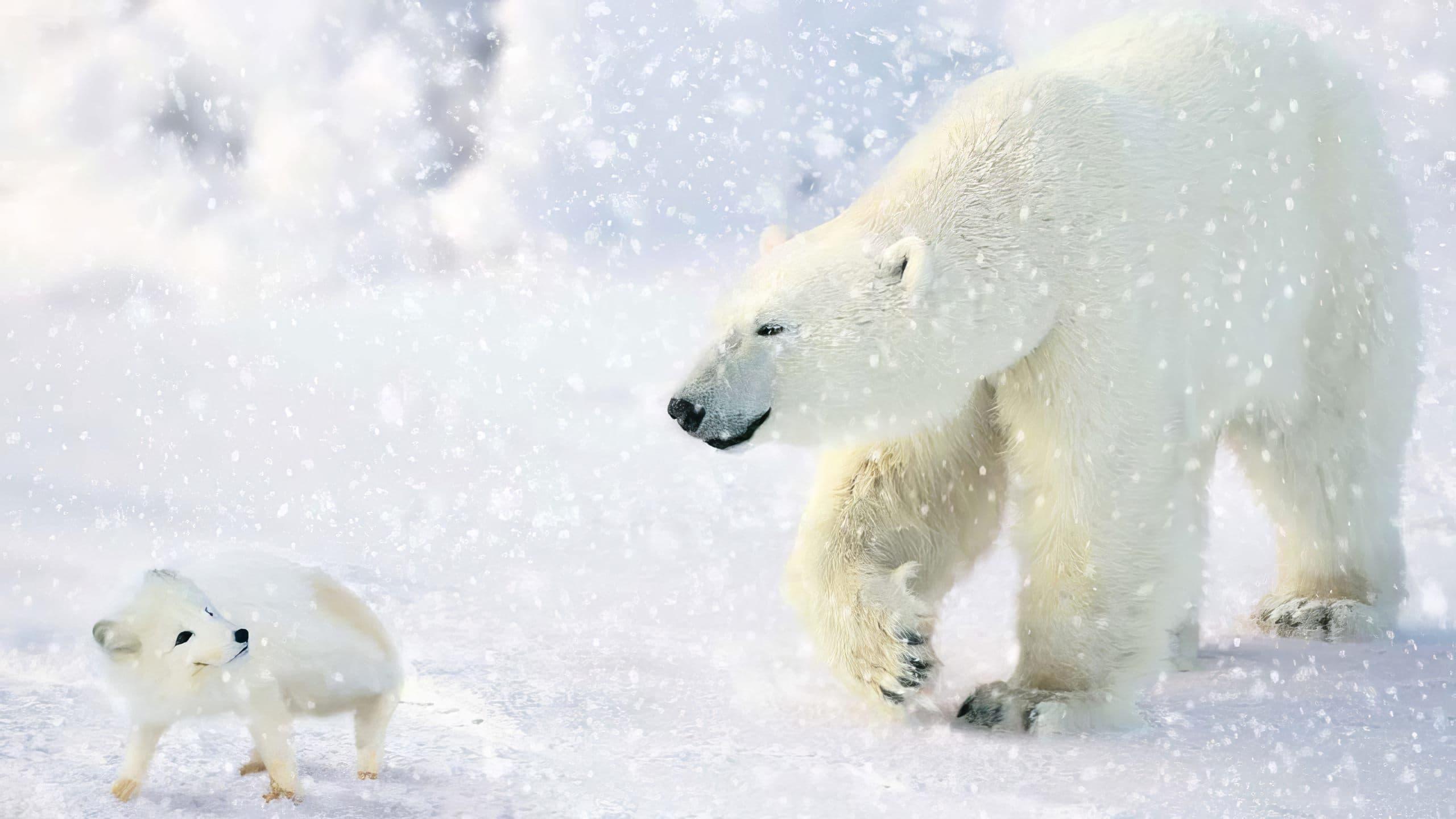 The Great Polar Bear Adventure backdrop