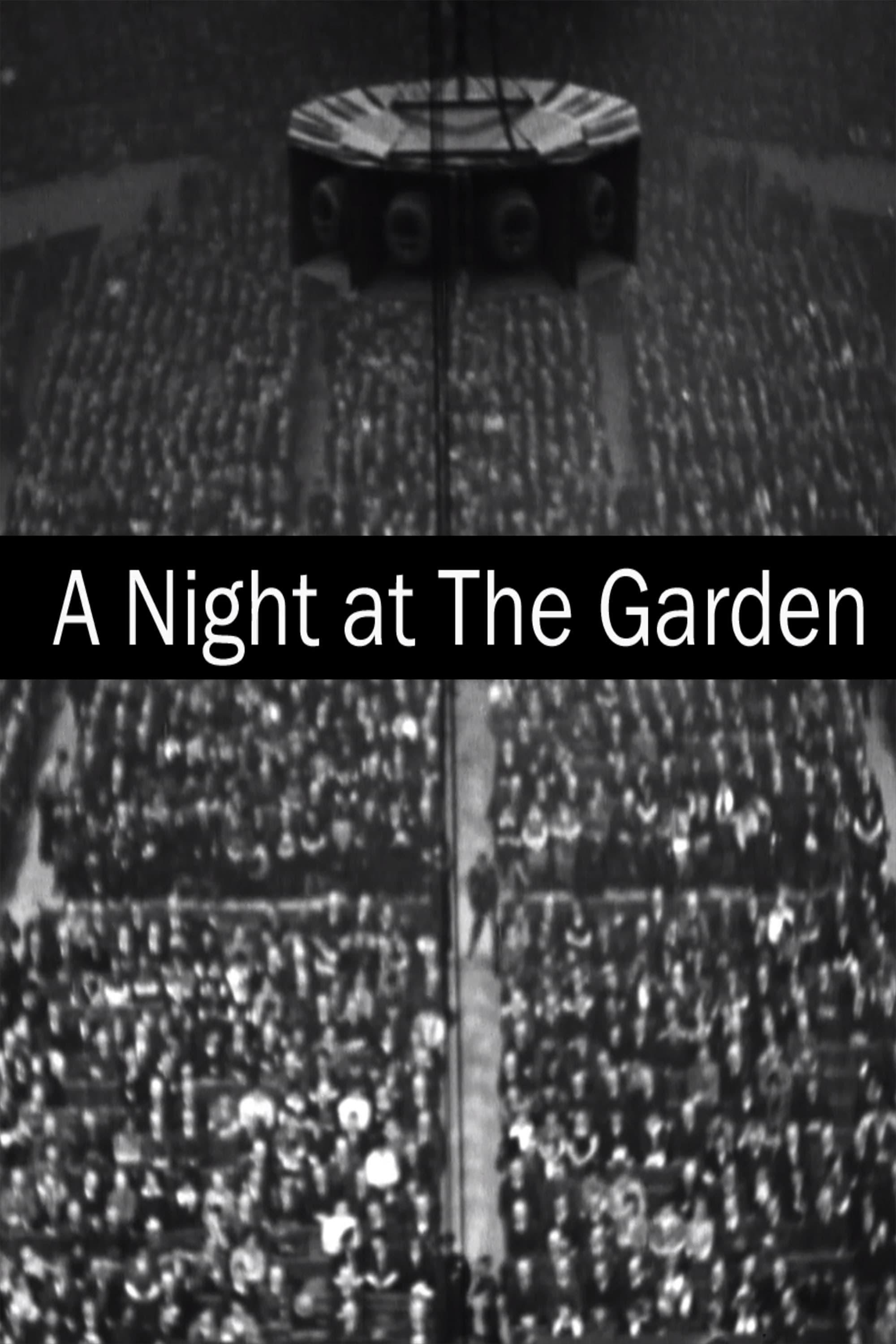 A Night at the Garden poster