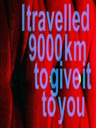 I Travelled 9000 km to Give It to You poster