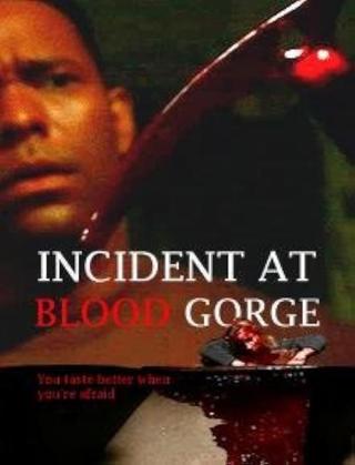 Incident at Blood Gorge poster