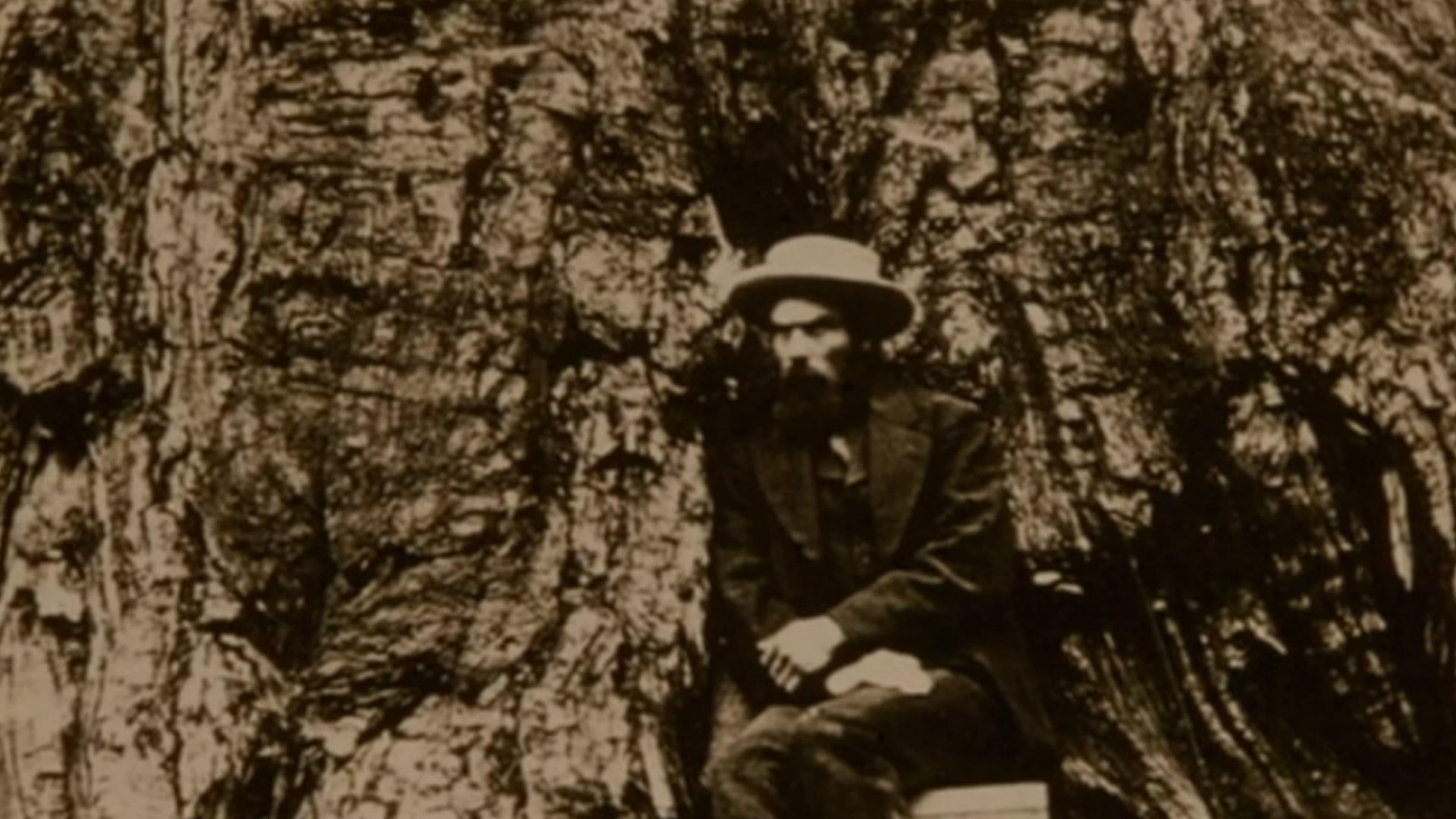 Eadweard Muybridge, Zoopraxographer backdrop