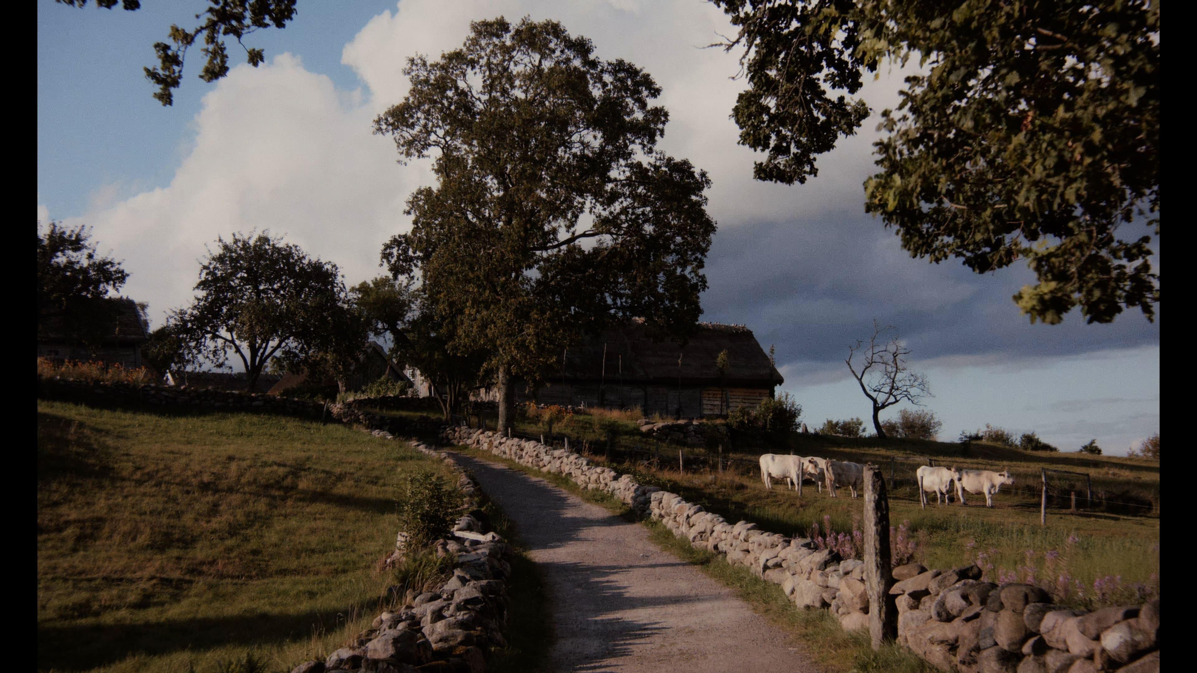 Äskhult - The Eternal Place backdrop