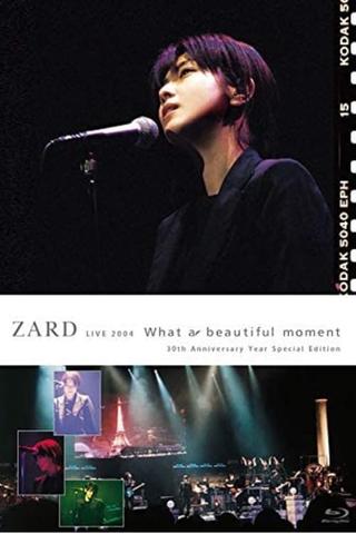 ZARD LIVE 2004“What a beautiful moment"[30th Anniversary Year Special Edition] poster