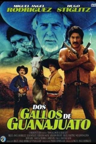 Dos gallos de Guanajuato poster
