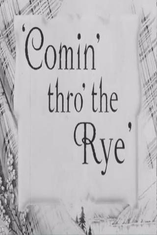 Comin' Thro the Rye poster